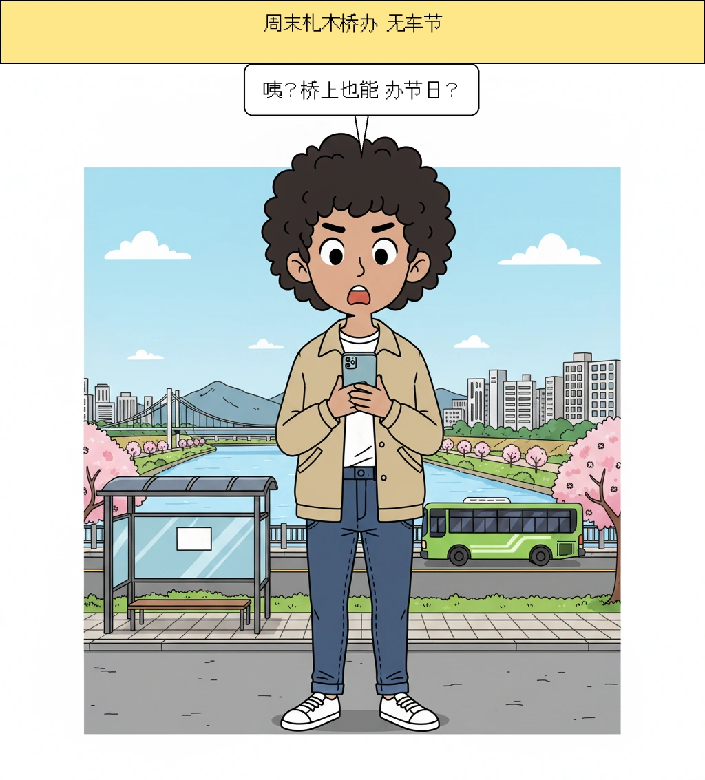 潜水桥是怎么从汽车桥变成首尔的游乐场的