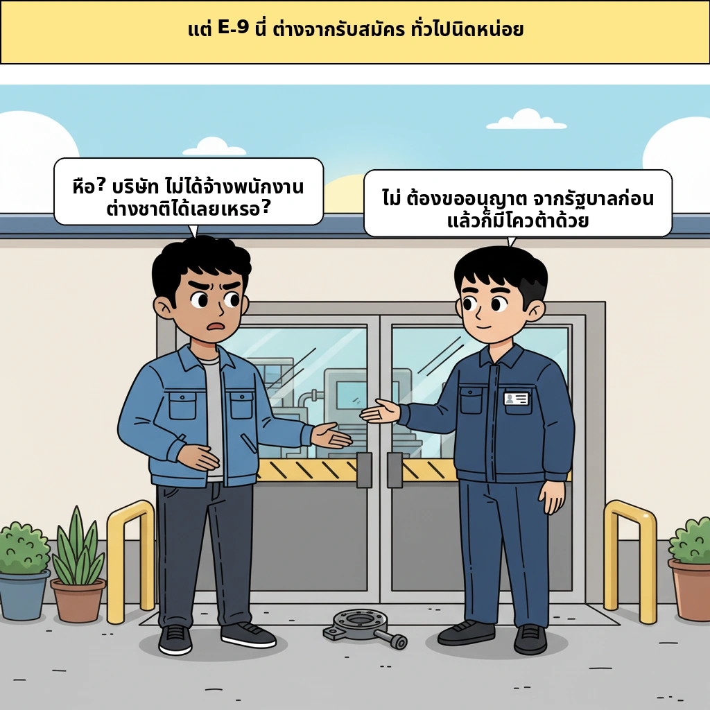 cut_02 image