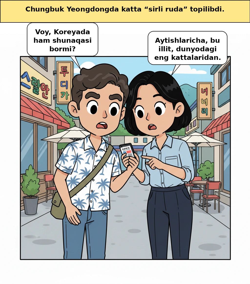 Koreyada topilgan 'sirli mineral', rostdan ham oltin tomirmi?