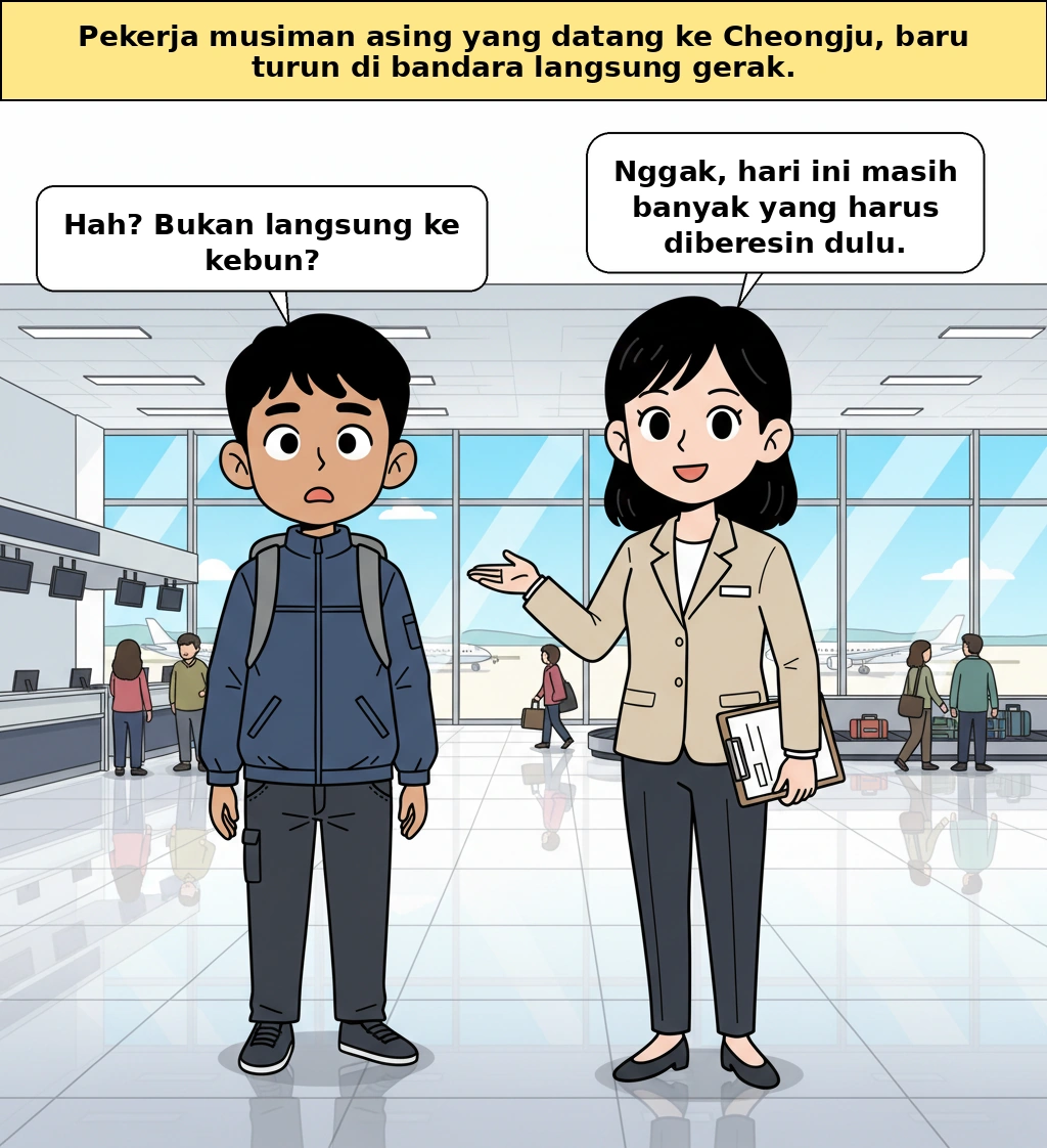 Mengapa Kota Cheongju membuat rekening dan asuransi langsung di bandara?